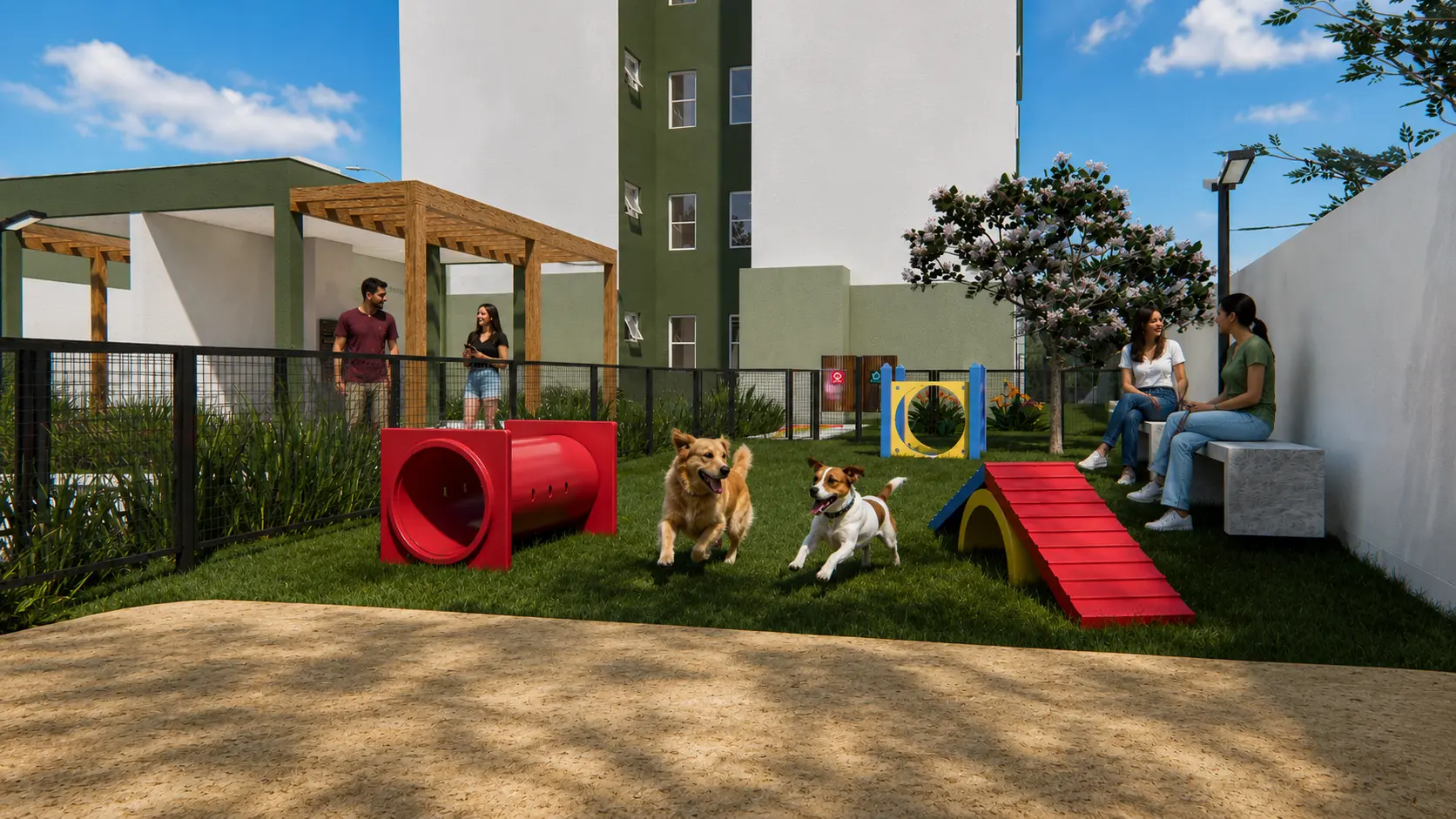 Pet place com cães brincando